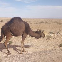 Gabriel Garcia Marquize's Photo