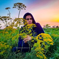 Mohamed Ashraf的照片