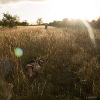 Zdjęcia użytkownika David Doležal