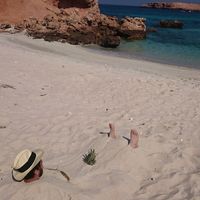 Fotos de youssef Yammine