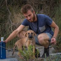 Johannes T´Kindt的照片