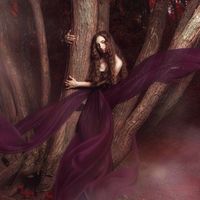 Ann Gubelidze's Photo