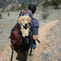 Juan Yegros Cuandú的照片