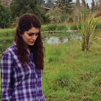 Samira Norouzzadeh的照片