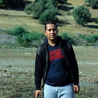 salim talbi的照片