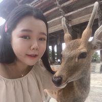 Chang Stella的照片