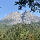 Merapi camping ( Bukit Klangon ) 's picture