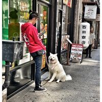 Satoshi from Noumea's Photo