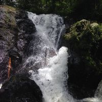 Syora MissBioglass的照片