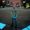 Imam Shuvo's Photo