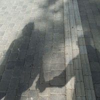 Uldis Saulkalns's Photo