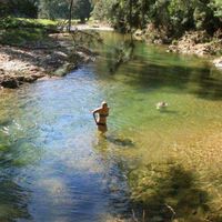 Wendy Robson的照片