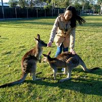 Fotos de Sally Zhang