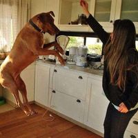 Maru Houssay的照片