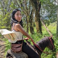 Фотографии пользователя Luces Huayhuaca