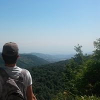 Furkan Turk的照片