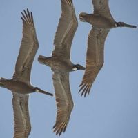 Anja Neugebauer的照片