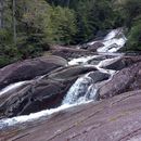 фотография Hiking Trip: Puerto Blest - Cascada Los Cántaros