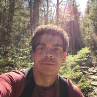 Cyril Cazal的照片