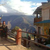 Pajaro del norte的照片