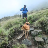 WANDERINGTAMIL's Photo