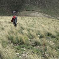 Mehran Bahri的照片