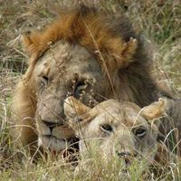 Jackson Vegulla的照片