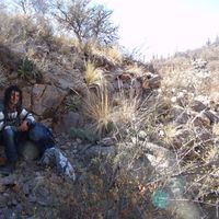 Leonardo Vasconcelo的照片