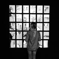 Marie Hassoun的照片