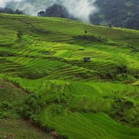 Explore Vietnam的照片