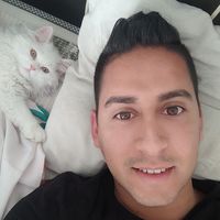 Abdullah Tetik的照片