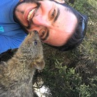 Gaël Gourdel的照片