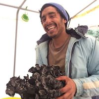 Julián Medina的照片