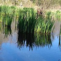 Anne Defrance's Photo