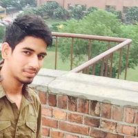 Photos de Himalaya Gaur