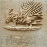 Maddalena Moretti's Photo