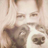 Yeser Sanatkar的照片