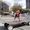Joselu Oiarzabal's Photo
