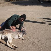 Global  Wave's Photo