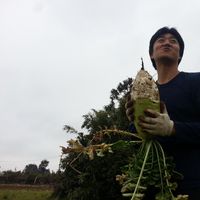 YongHwa Sin的照片