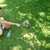 Claire Massol的照片