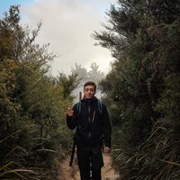 Mats Van Mieghem的照片