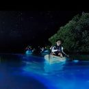 Bioluminescent Kayaking 's picture