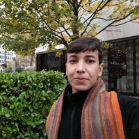 Mohamed  Rezki的照片