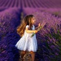 Martina Berkhahn's Photo