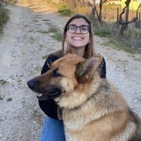 Inês Pereira Lopes的照片