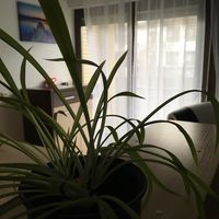 Photos de David Welcome