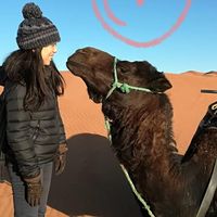 miho shimizu的照片