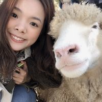 Fotos von Ariel Cheung