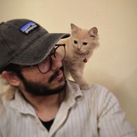 Fotos de subhankar dey